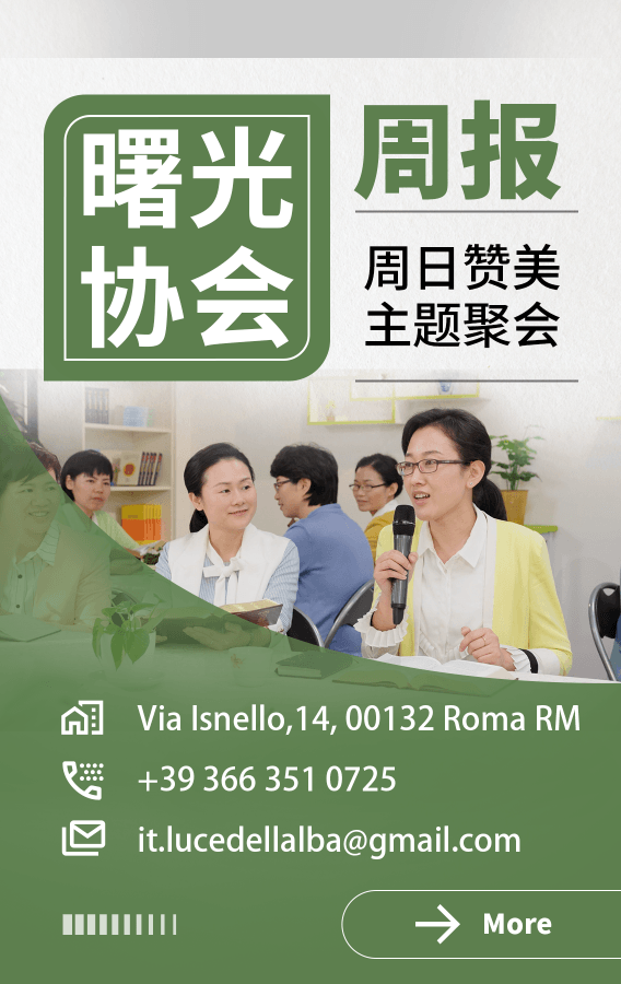 2026-03-08—曙光周报